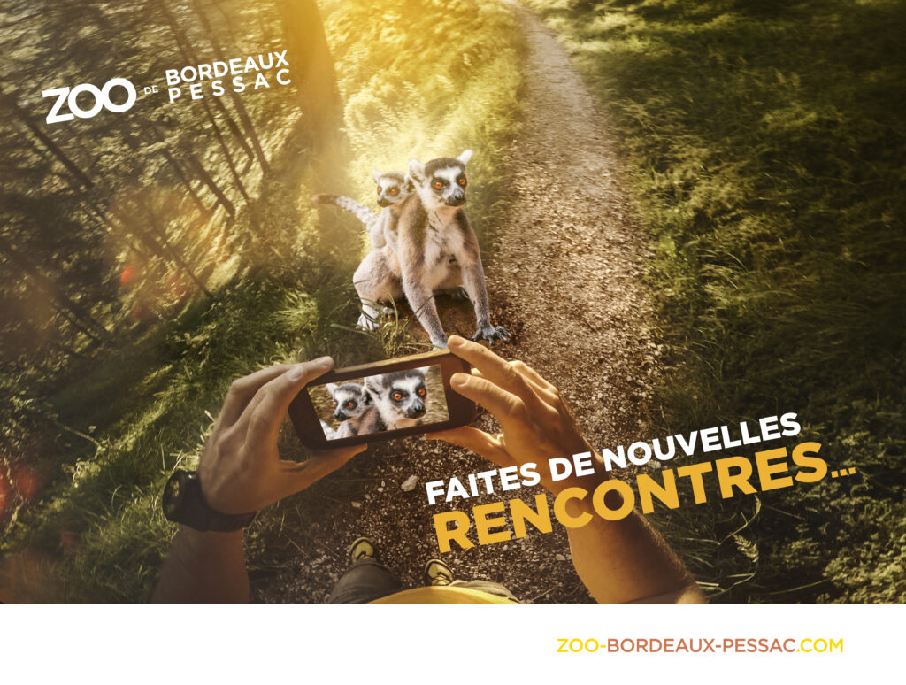 ZOO_DE_PESSAC_2018_4x3_SMARTPHONE_01